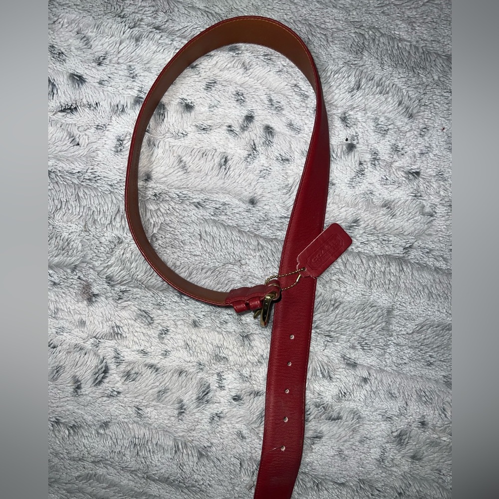 Coach leather belt